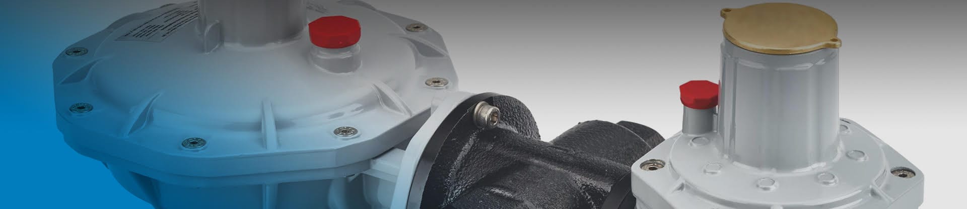 gas regulator domestic | Metrixitalia.it